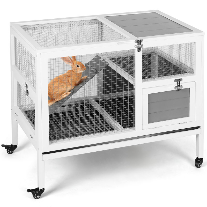 Shops wire rabbit cage with tray